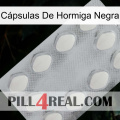 Cápsulas De Hormiga Negra 16